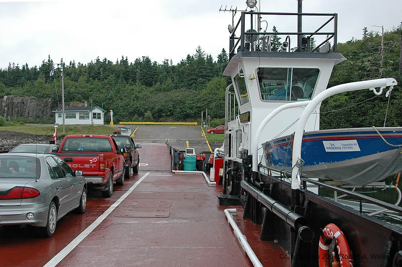 DSC_6070.jpg