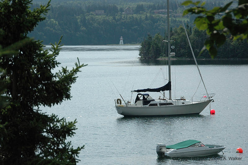 DSC_6139.jpg