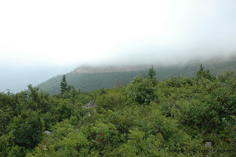 DSC_6177.jpg