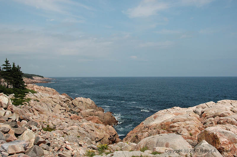 DSC_6227.jpg