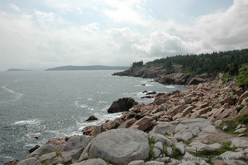 DSC_6228.jpg
