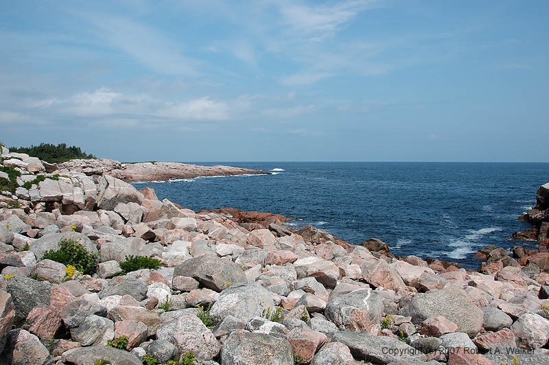 DSC_6239.jpg