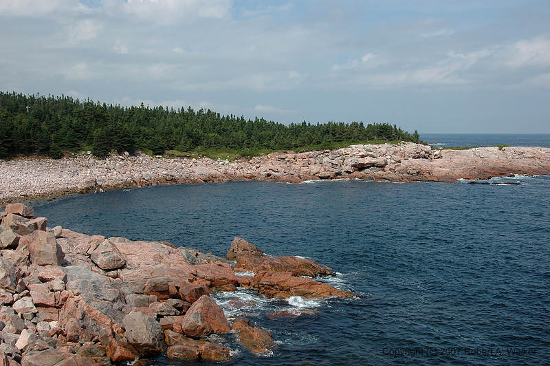 DSC_6251.jpg
