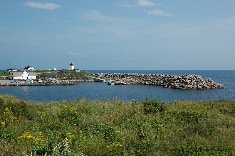 DSC_6342.jpg
