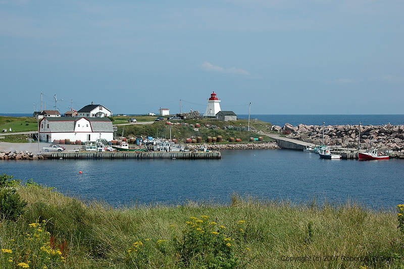 DSC_6345.jpg