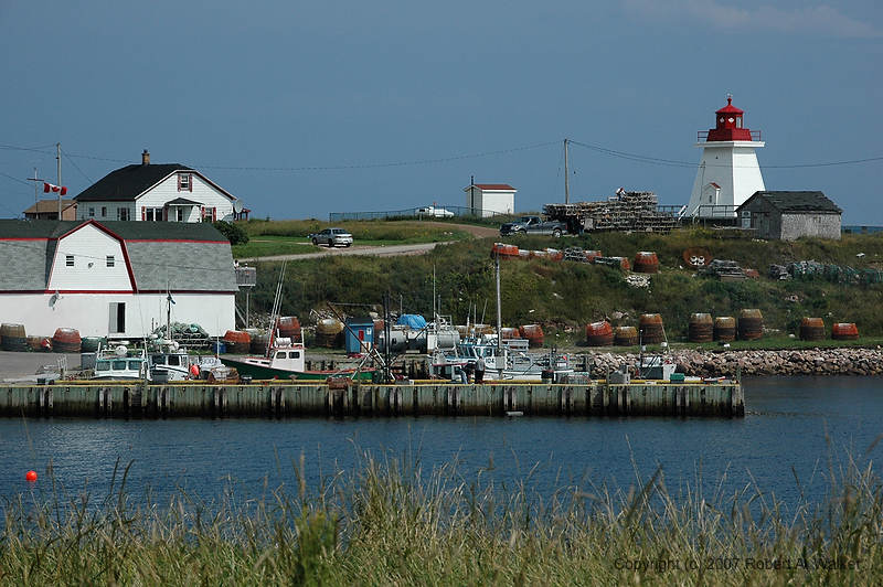 DSC_6356.jpg