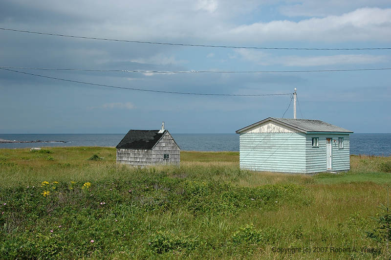 DSC_6385.jpg