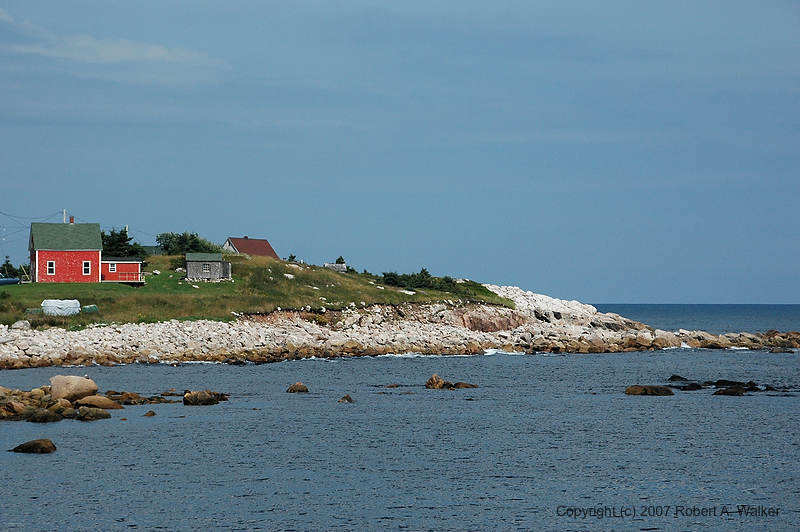 DSC_6390.jpg