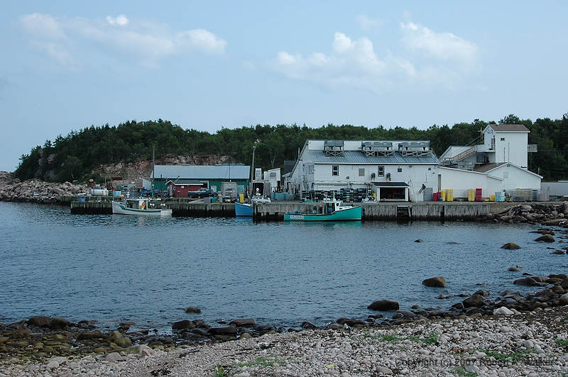 DSC_6392.jpg