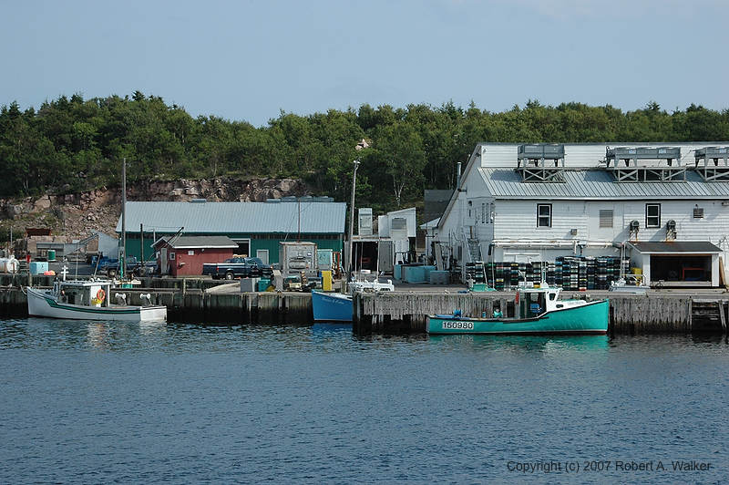 DSC_6408.jpg