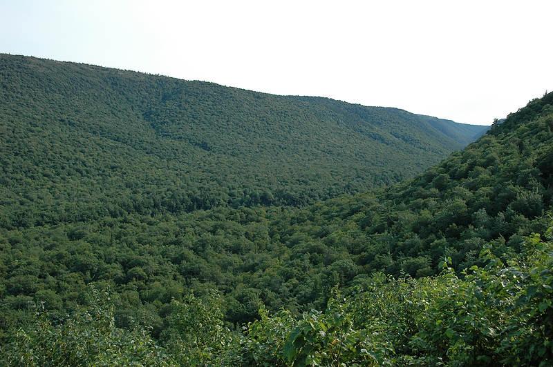 DSC_6453.jpg