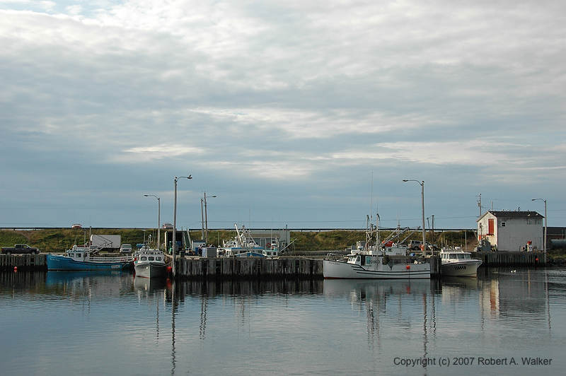 DSC_6541.jpg