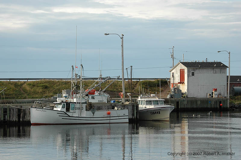 DSC_6544.jpg