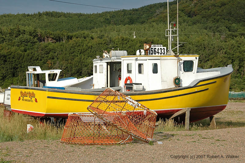 DSC_6552.jpg