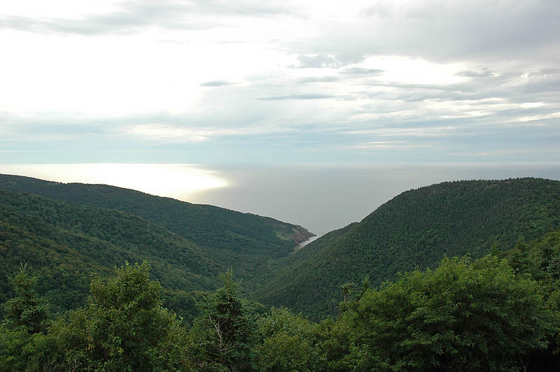 DSC_6624.jpg