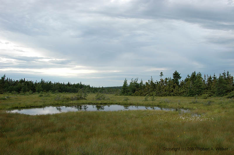 DSC_6632.jpg