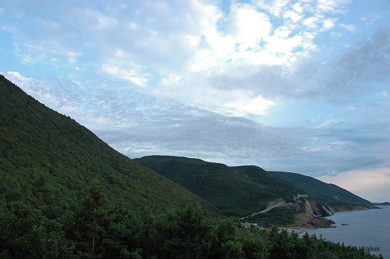 DSC_6677.jpg