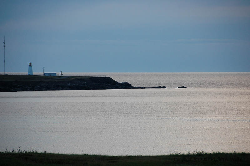 DSC_6697.jpg