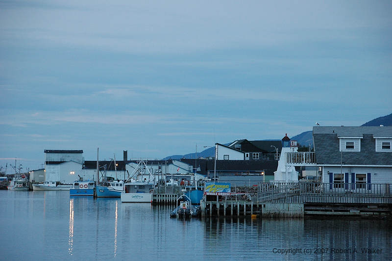 DSC_6706.jpg