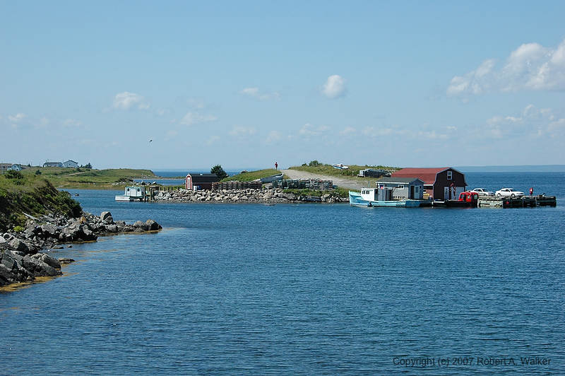 DSC_6766.jpg