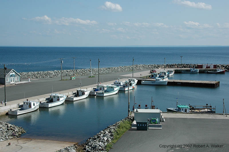 DSC_6868.jpg