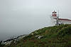 New Port Bickerton Lighthouse