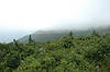 Cape Smokey Picnic Park