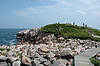 Green Cove