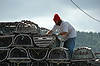 Stacking Lobster Traps
