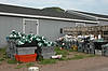 Lobster Traps