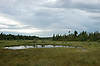 French Mountain Bog