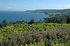 (Thu 8/16) Bras d'Or Lookoff