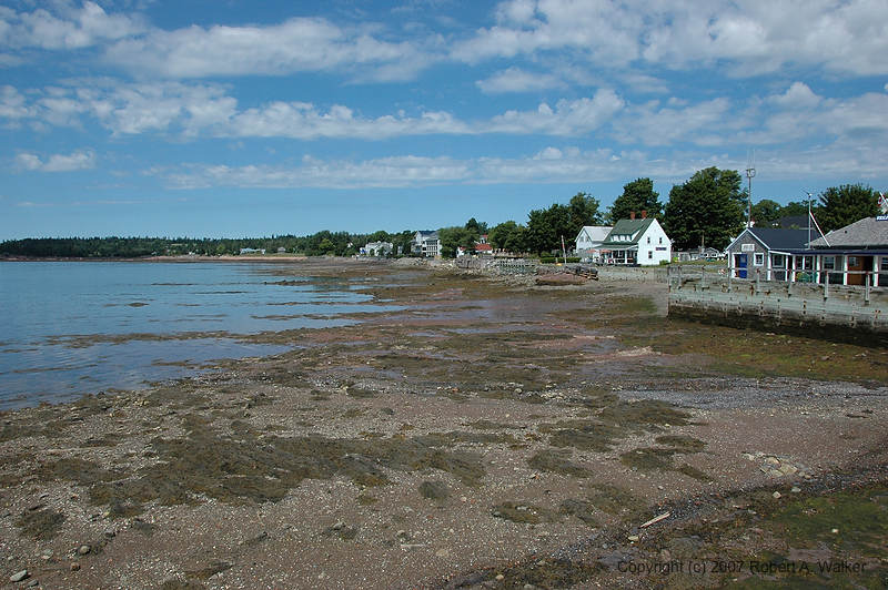 DSC_6945.jpg