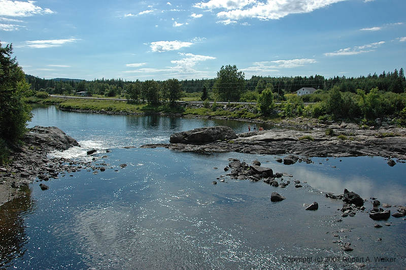 DSC_7044.jpg