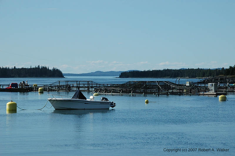 DSC_7105.jpg