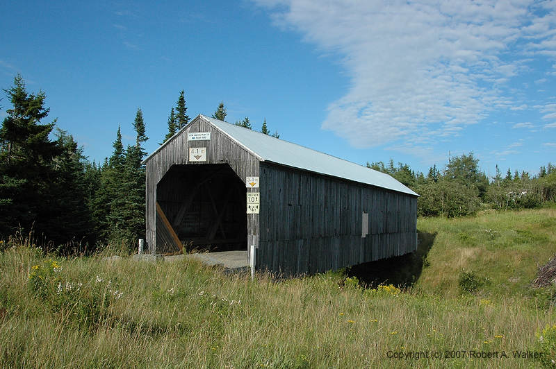 DSC_7145.jpg