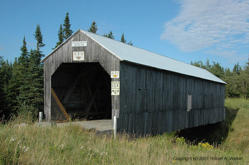 DSC_7148.jpg
