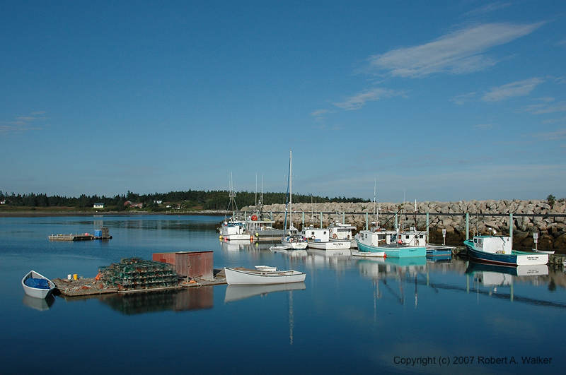 DSC_7157.jpg