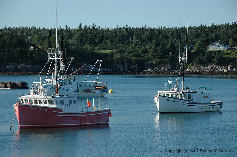 DSC_7180.jpg