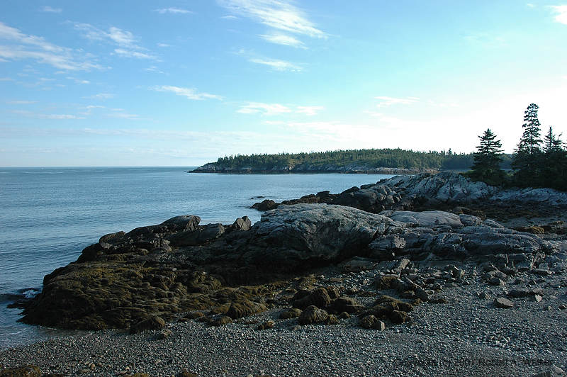 DSC_7187.jpg