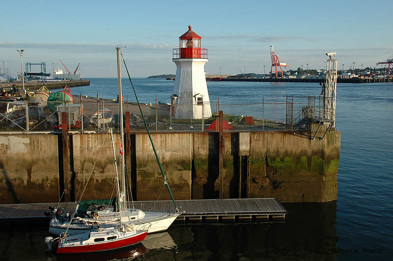DSC_7198.jpg