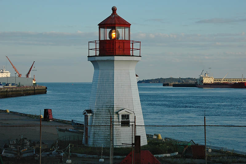DSC_7204.jpg