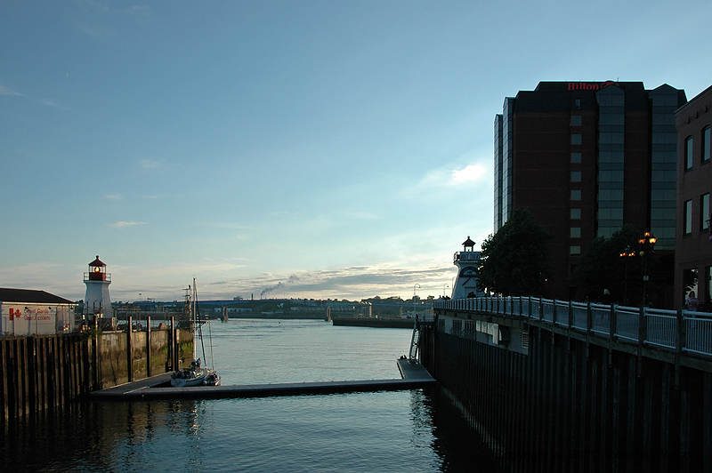 DSC_7207.jpg