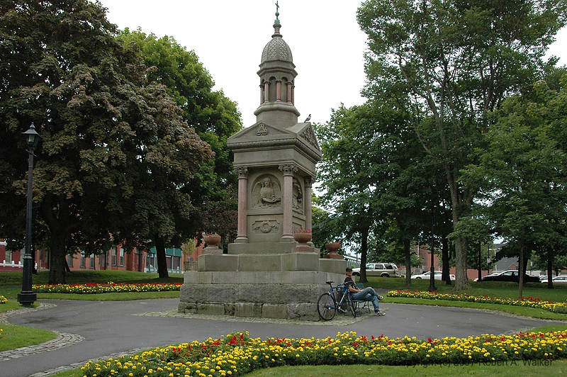 DSC_7313.jpg