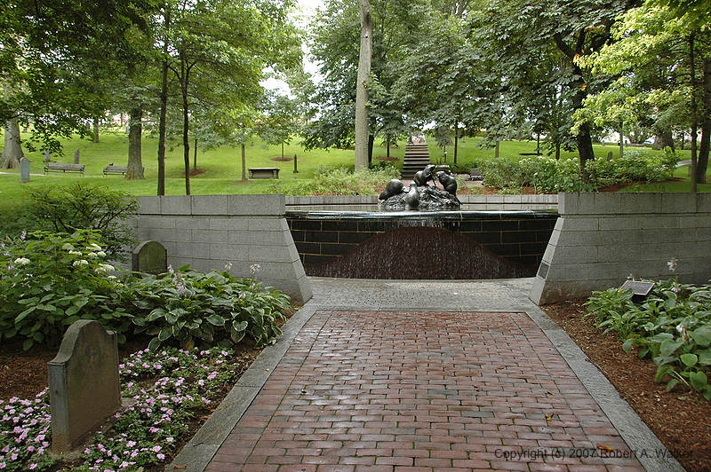 DSC_7330.jpg