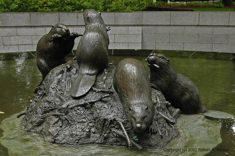 DSC_7338.jpg
