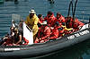 Whale Watching Tour