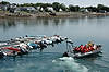 Whale Watching Tour
