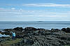 Green's Point