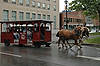 Trolley Tour